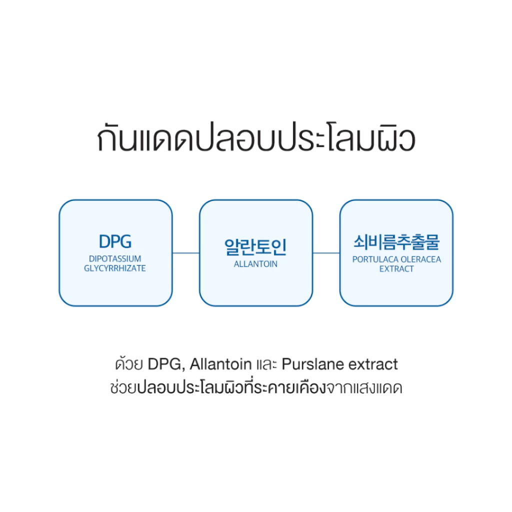 Round Lab : Birch Juice Moisturizing Sunscreen SPF50+ PA++++ 50 ml. (กันแดดเนื้อ essence)